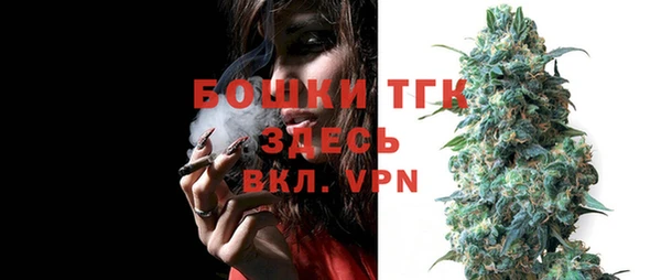 стафф Арсеньев