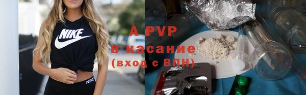 стафф Арсеньев