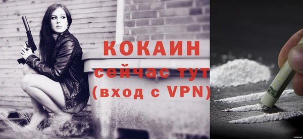 стафф Арсеньев