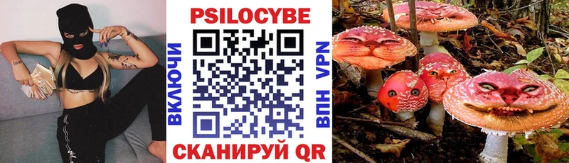 МЕГА зеркало  Гай  Галлюциногенные грибы мухоморы 