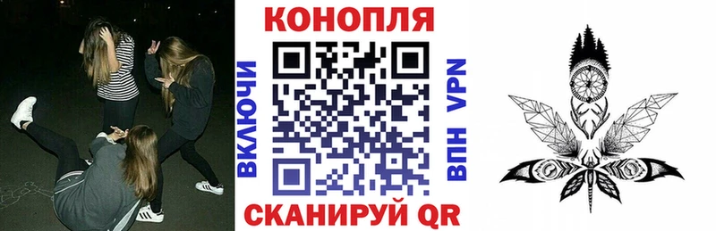Бошки марихуана THC 21%  Гай 